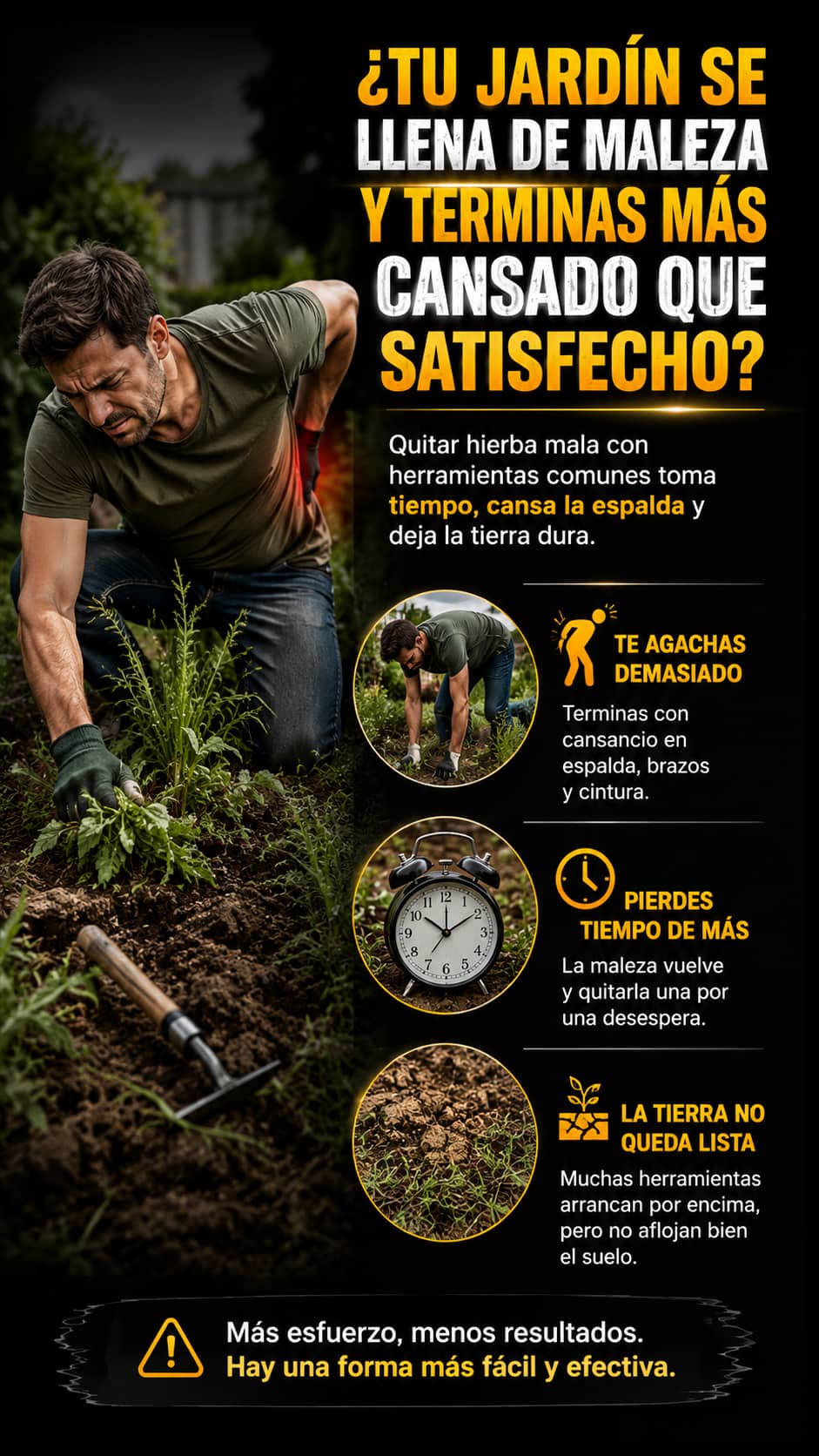 Imagen destacada