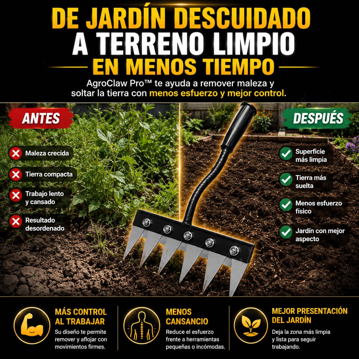 Imagen destacada