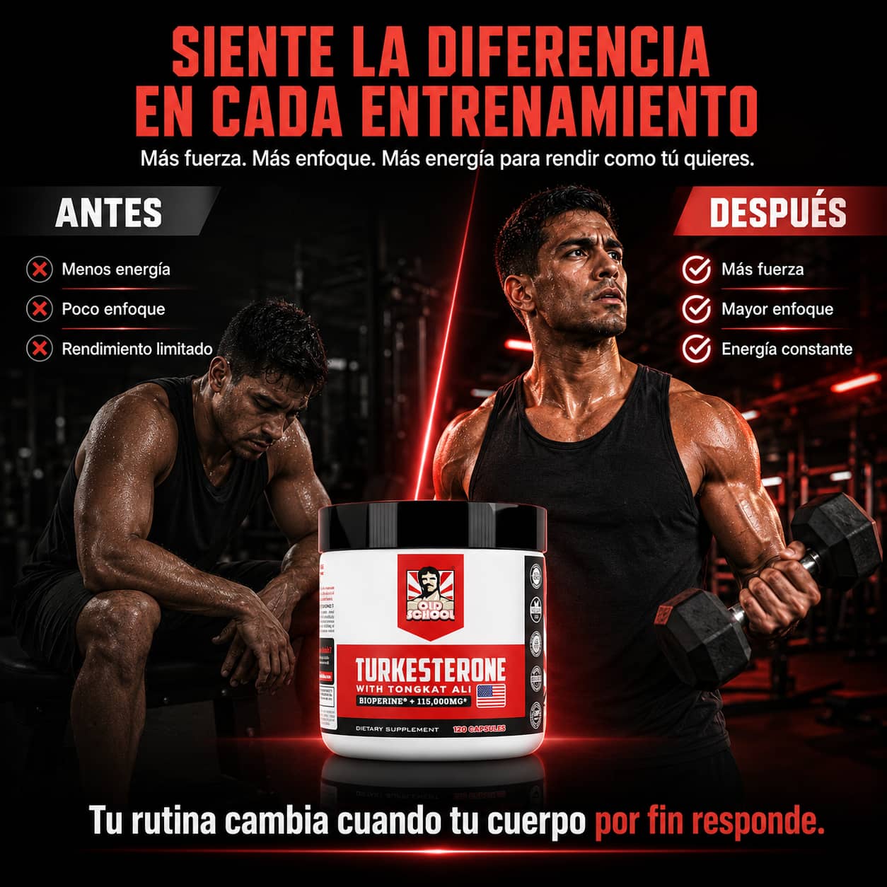 Imagen destacada