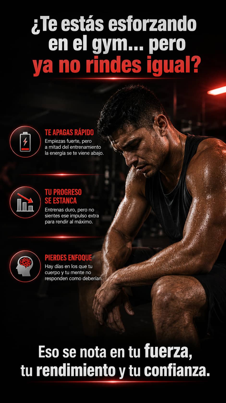 Imagen destacada