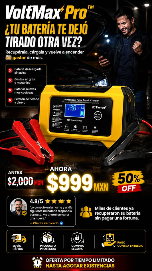 Cargador de Bateria de Pulsos 12V