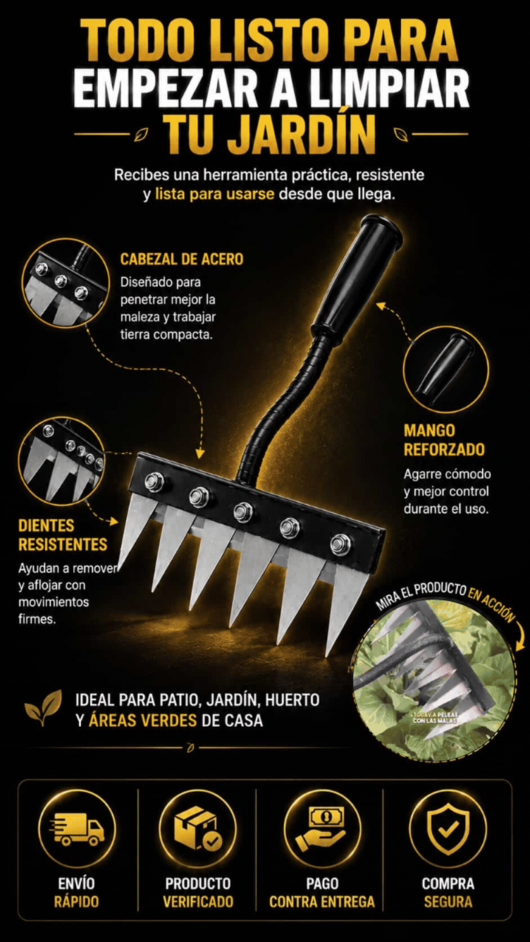 Imagen destacada