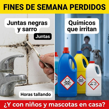 Máquina Limpiadora a Vapor | Limpieza Profunda Sin Químicos